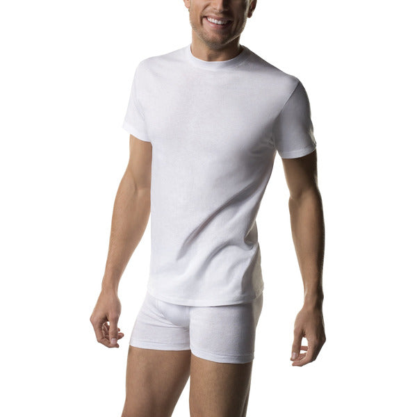 Hanes T-Shirts, Tagless 3CT